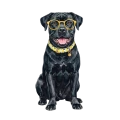 cane corso.png