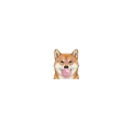Shiba Inu