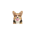 corgi.png