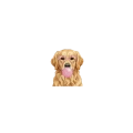 golden.png