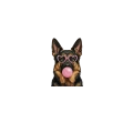 owczarek niemiecki.png