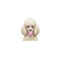 pudel.png