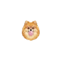 szpic.png