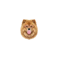 chow chow.png