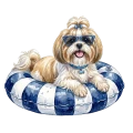 shih tzu.png