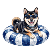 shiba inu muszelki.png