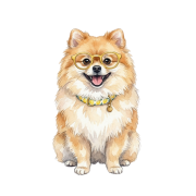 szpic.png