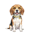 beagle cytryna.png