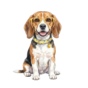 beagle cytryna.png