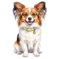 Papillon.png