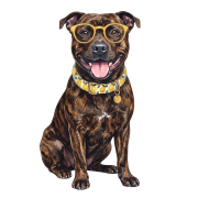Staffordshire bull terier.png