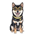 Shiba inu.png