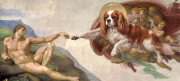 Cavalier.png