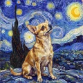 chihuahua.png
