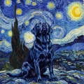 labrador.png