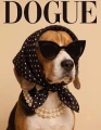 Beagle.png