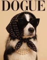 Border collie.png
