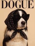 Border collie.png