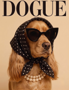 Cocker spaniel.png