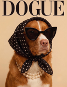 Toller dogue.png