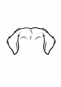 uszy toller.png