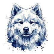 samoyed.png