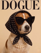 jack russell terrier.png