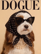 Hawańczyk dogue.png