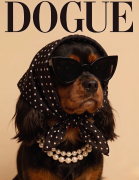 cavalier black and tan.png