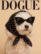Bichon.png