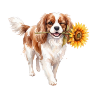 cavalier.png