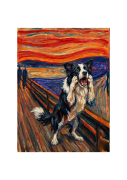 Border collie.png