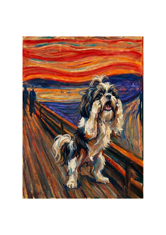 shih tzu.png