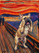 buldog francuski.png