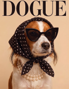 Kojkerhondje.png