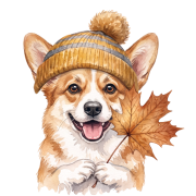 corgi.png