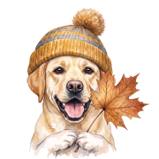 labrador.png