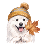 samoyed.png