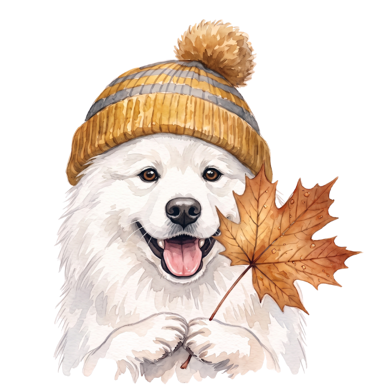 samoyed.png