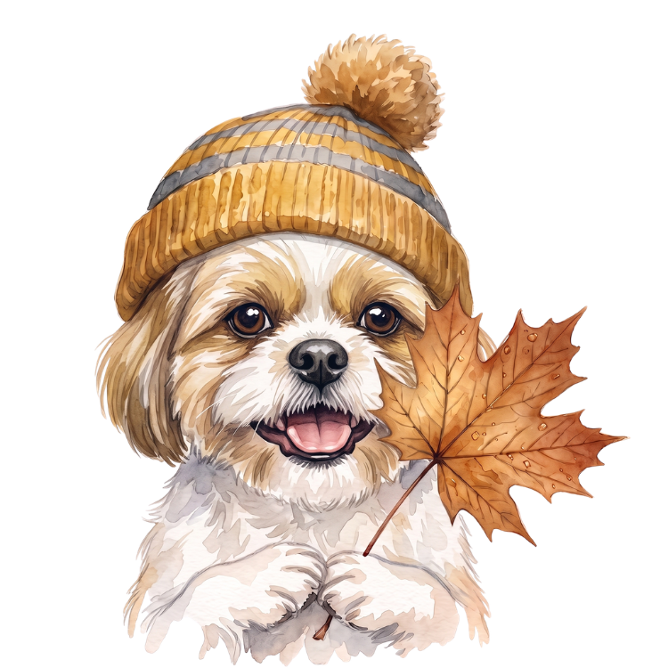 shih tzu.png