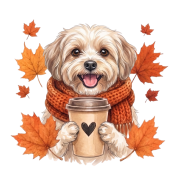 hawańczyk.png