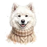 samoyed.png