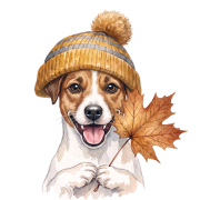 jack russell terrier.png