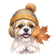 shih tzu.png