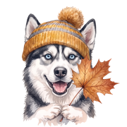 Husky.png