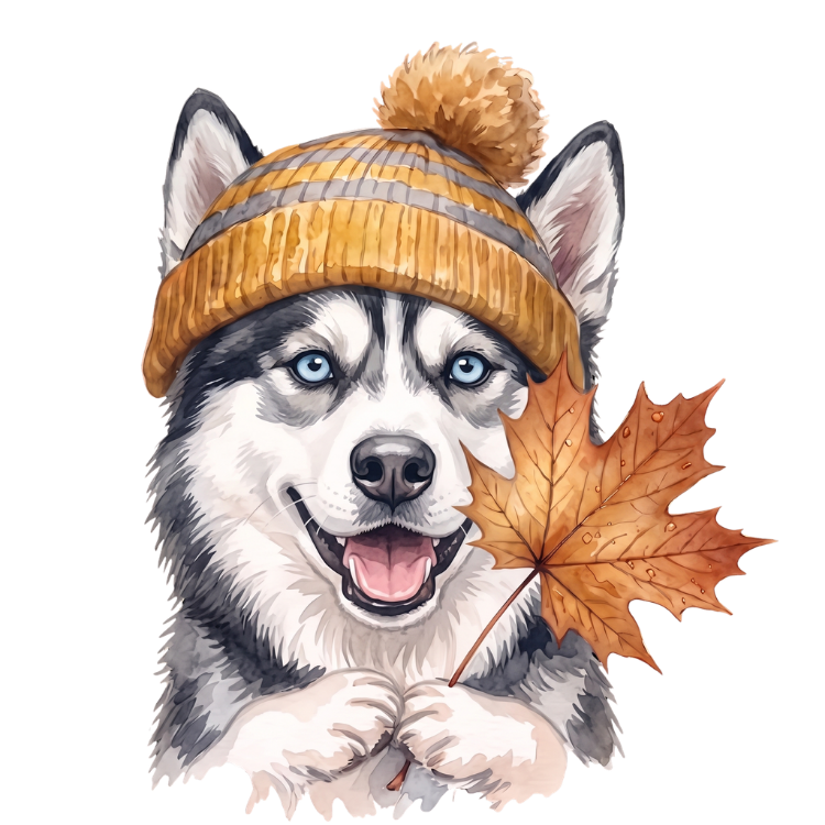 Husky.png
