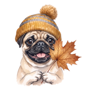 Mops.png
