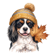 cavalier tri color.png