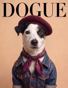 jack russell terrier.png
