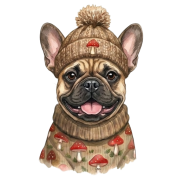 buldog francuski.png